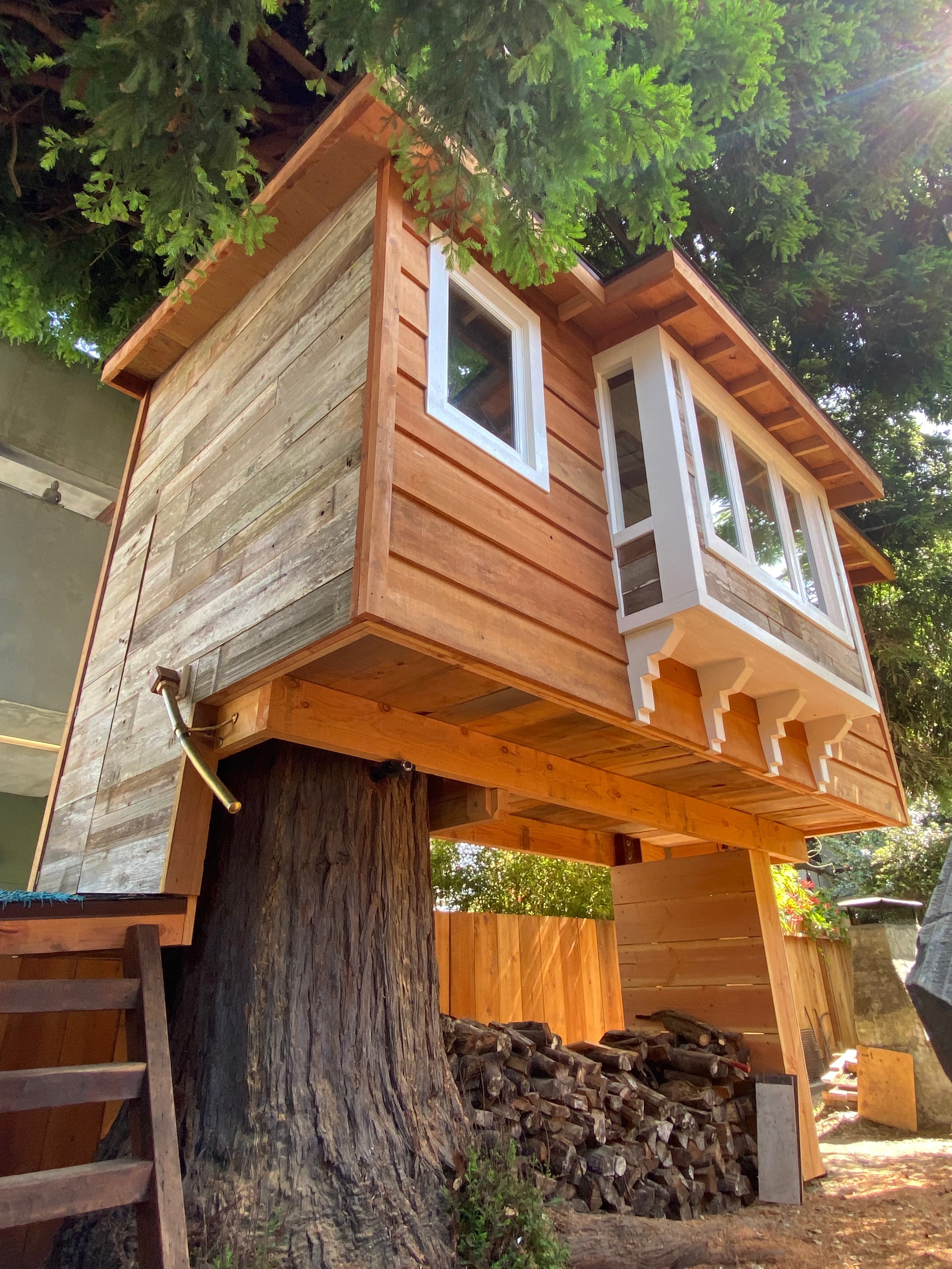 Santa Cruz Tree House