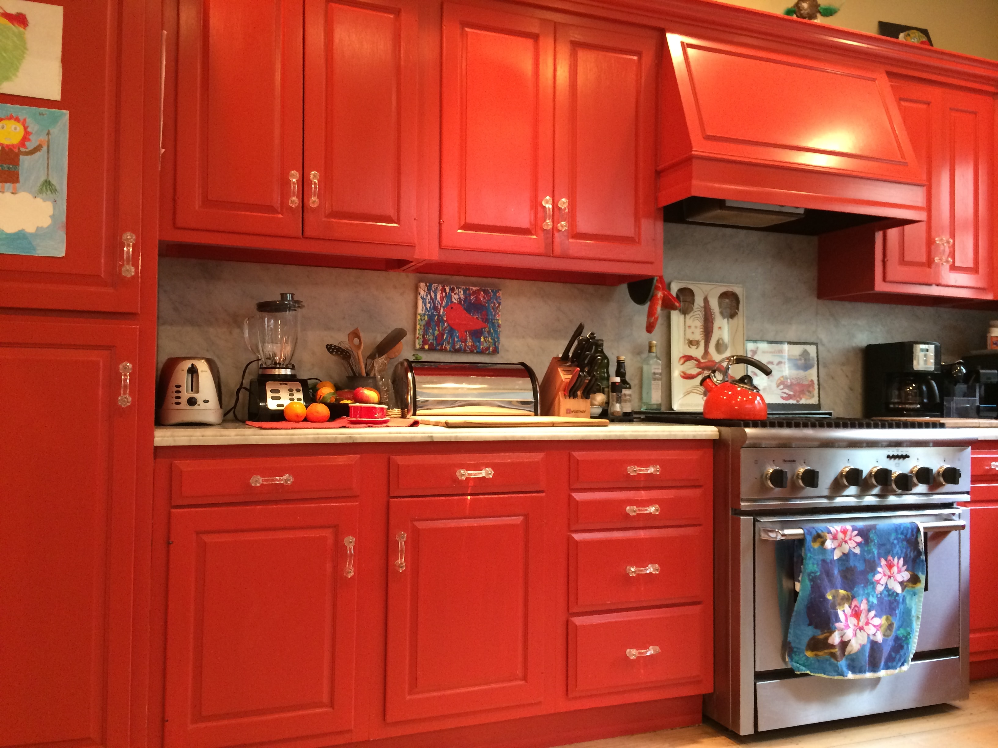 Bold Kitchen Cabinets