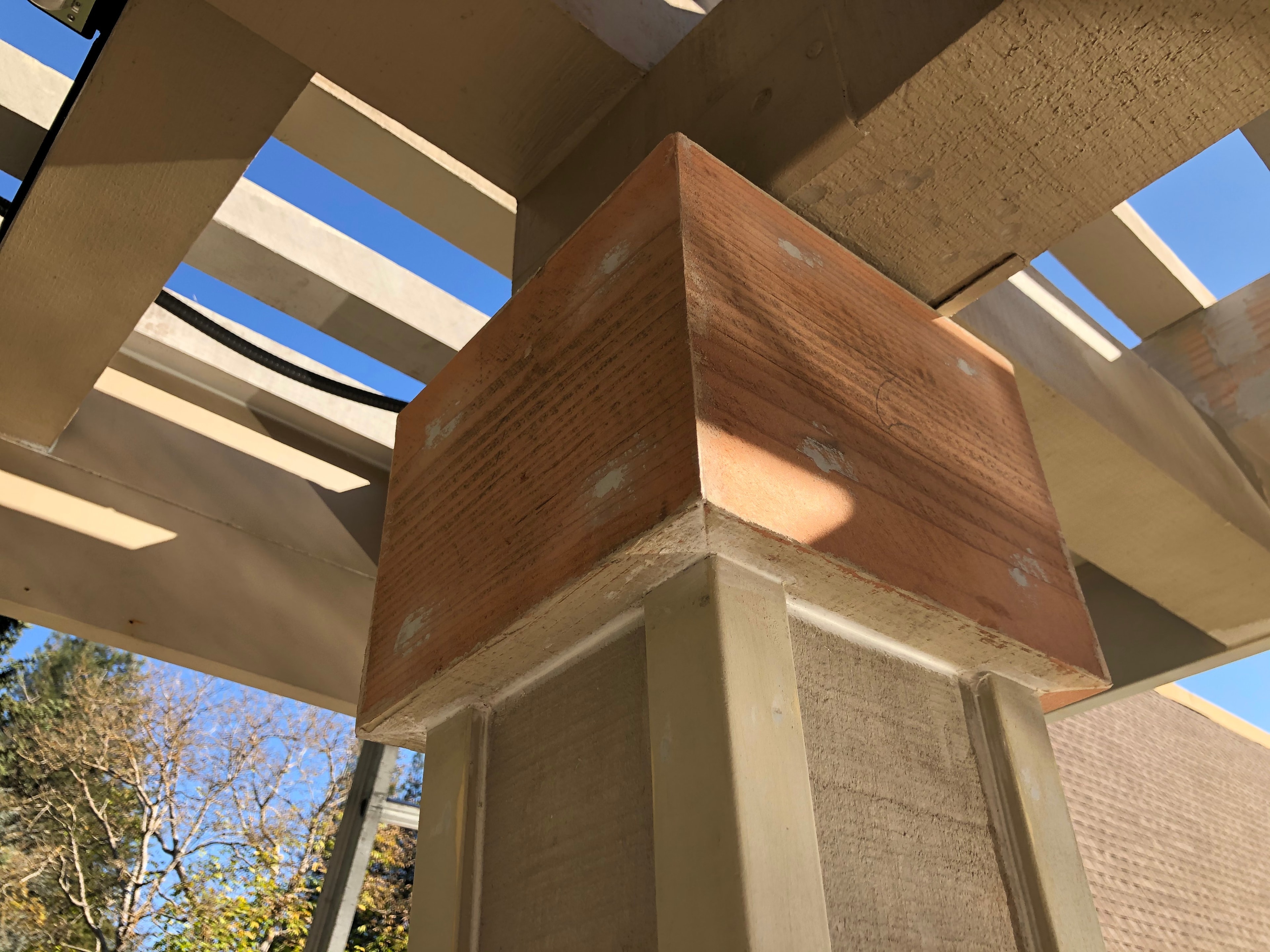 Dry Rot Repair & Carpentry